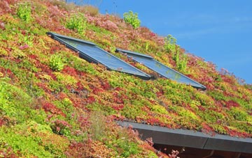 Ramsdean living roof systems